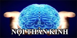 THÔNG TIN CHUYÊN KHOA