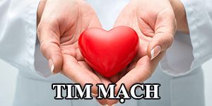 THÔNG TIN CHUYÊN KHOA