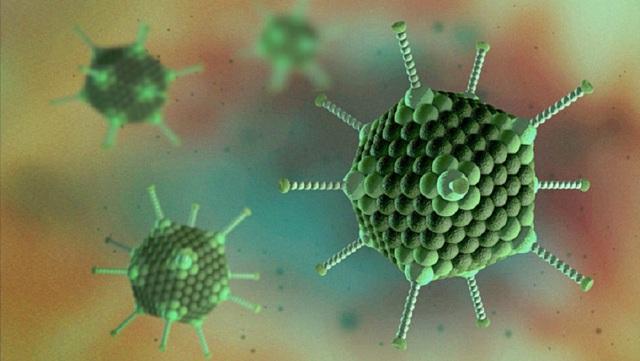 Trẻ sốt, nôn, tiêu chảy… có phải do Adenovirus?  Lời khuyên của chuyên gia Nhi khoa dành cho các bậc cha mẹ - Ảnh 2.