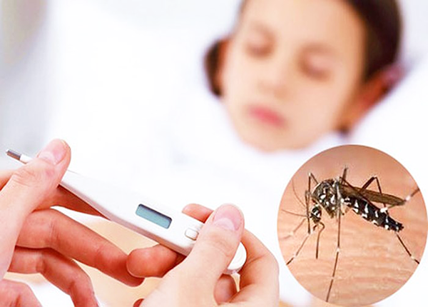 Bệnh sốt xuất huyết dengue 2023: Gánh nặng bệnh trên phạm vi toàn cầu - Ảnh 2.