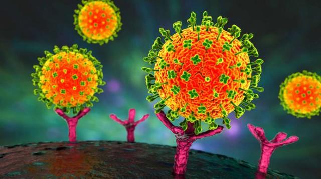 Những điều cần biết về virus Nipah có thể gây viêm não và tử vong - Ảnh 2.