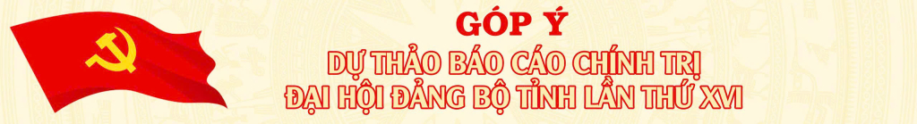 2382280_43d70e8285d10c8f55c0_17255022__1__b7398c317f